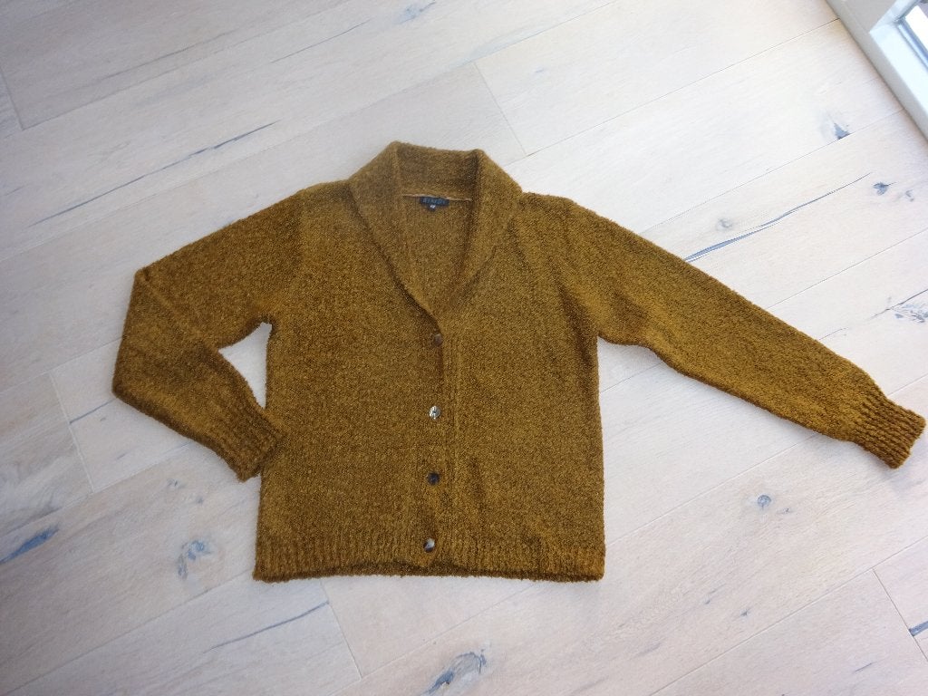 bruin vest BINDI maat S/M, Kleding | Dames, Maat 38/40 (M), Bruin, Ophalen of Verzenden, Zo goed als nieuw