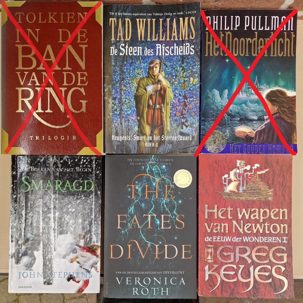 Fantasy / Young Adult / SF boeken Nederlands & Engels, Ophalen of Verzenden, Zo goed als nieuw