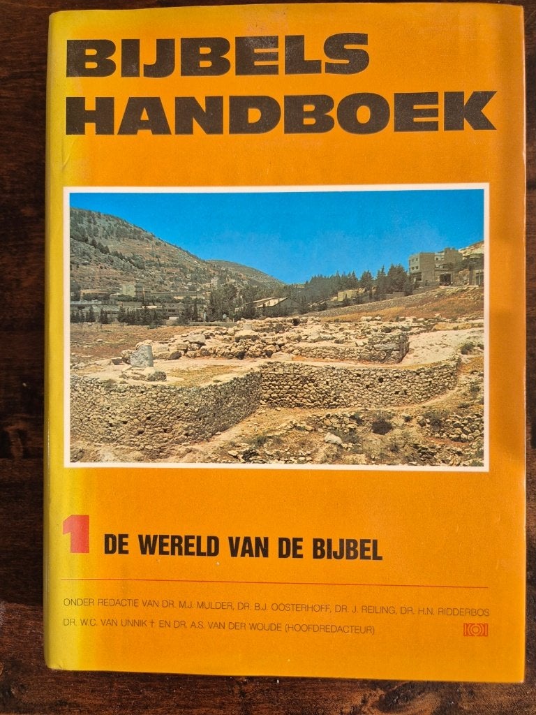 Bijbels Handboek deel I: De wereld van de Bijbel, Boeken, Godsdienst en Theologie, Gelezen, Christendom | Protestants, Ophalen of Verzenden