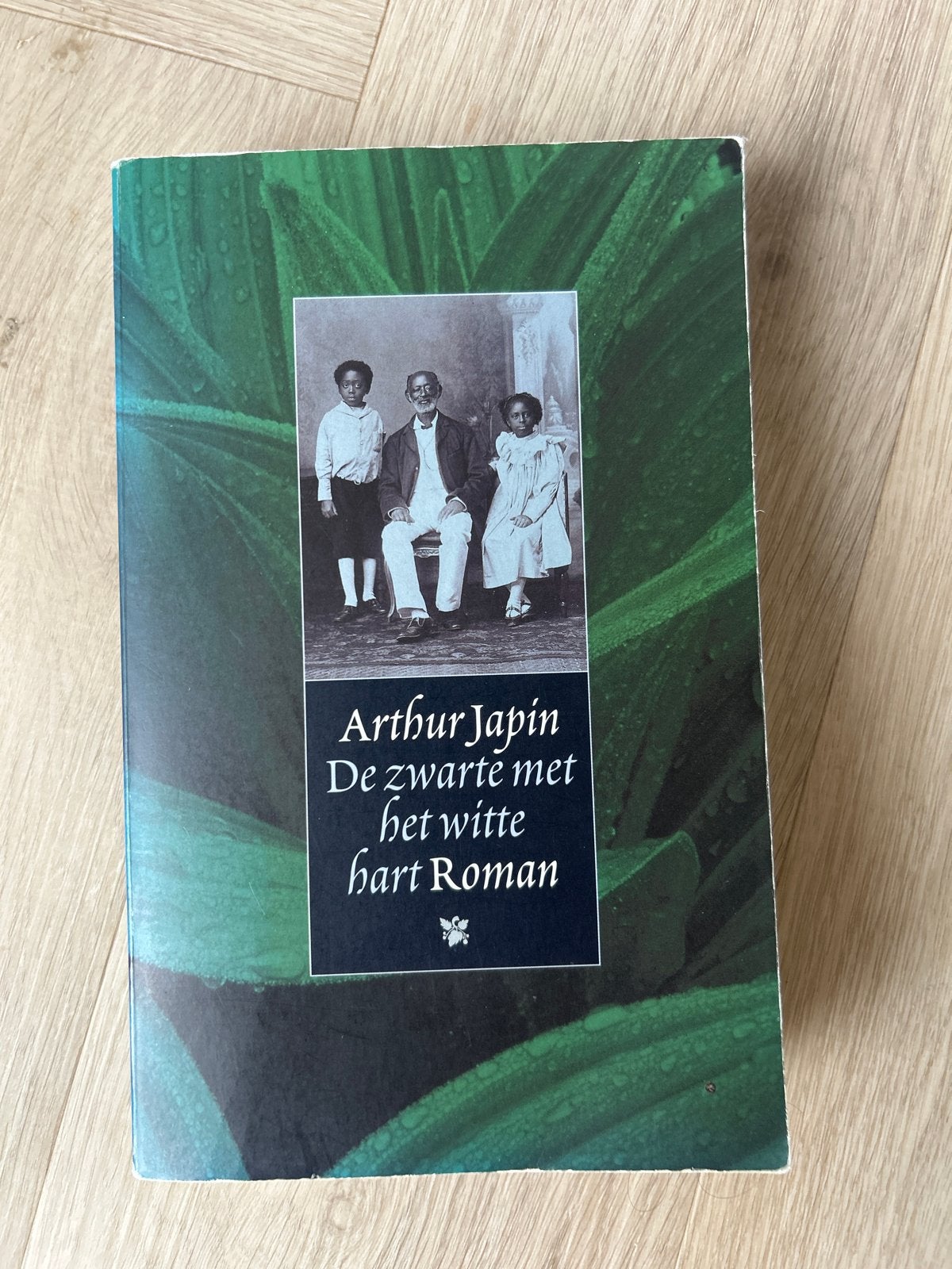 De zwarte met het witte hart - Arthur Japin, Boeken, Ophalen of Verzenden, Gelezen, Nederland