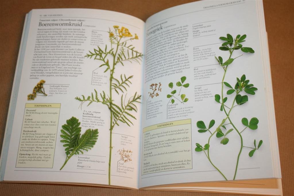 Kruiden - Sesam praktische encyclopedie, Boeken, Ophalen of Verzenden, Gelezen, Azië en Oosters