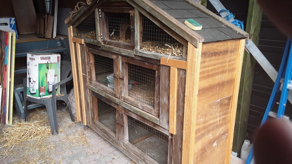 Konijnenhok, Ophalen, Gebruikt, Cavia, 90 cm of meer