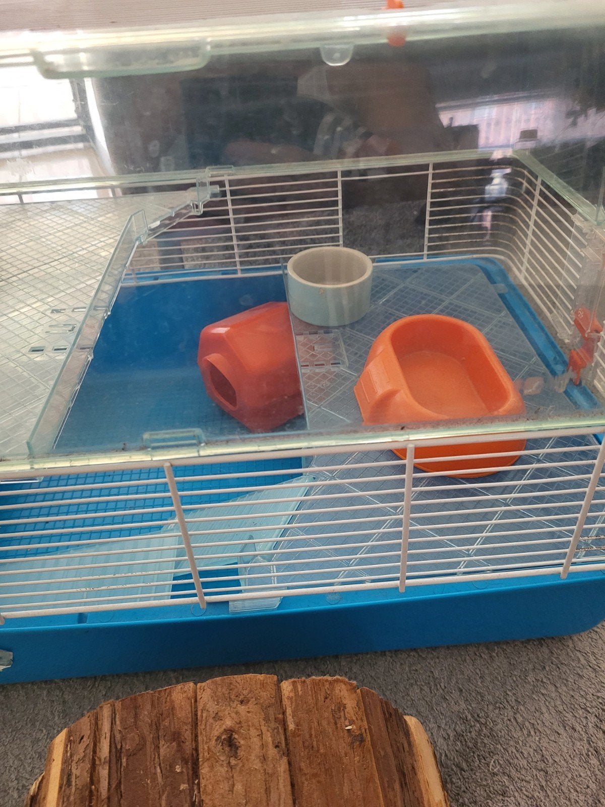 Hamster kooien, Ophalen
