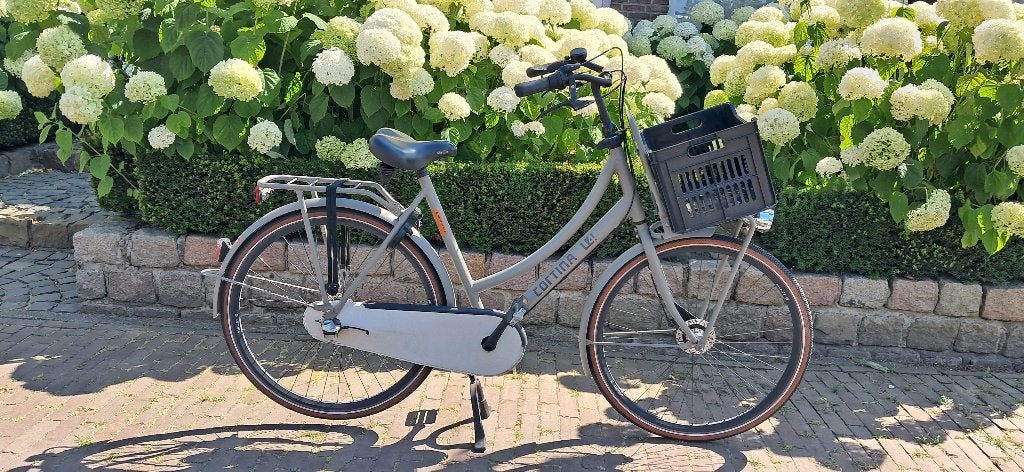 Nette Cortina U4 fiets 57 inch, Gebruikt, Versnellingen, 56 cm of meer, Schijfrem
