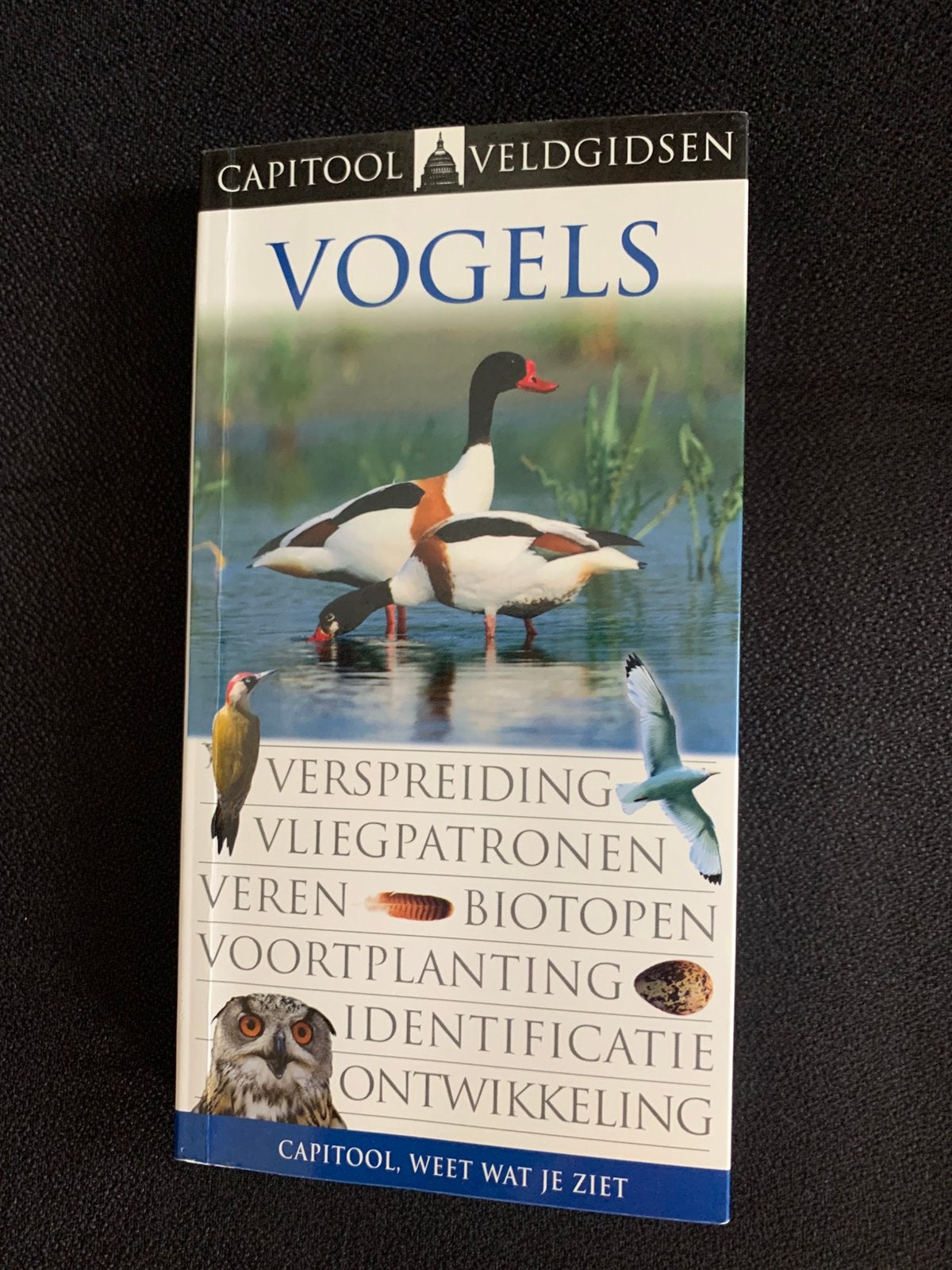 Jonathan Elphick - Vogels, Ophalen of Verzenden, Zo goed als nieuw, Jonathan Elphick; John Woodward, Vogels