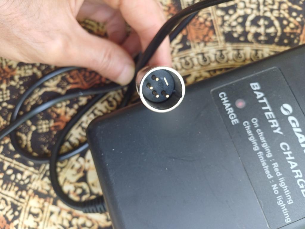 Oplader Giant dubel twist, Ophalen of Verzenden