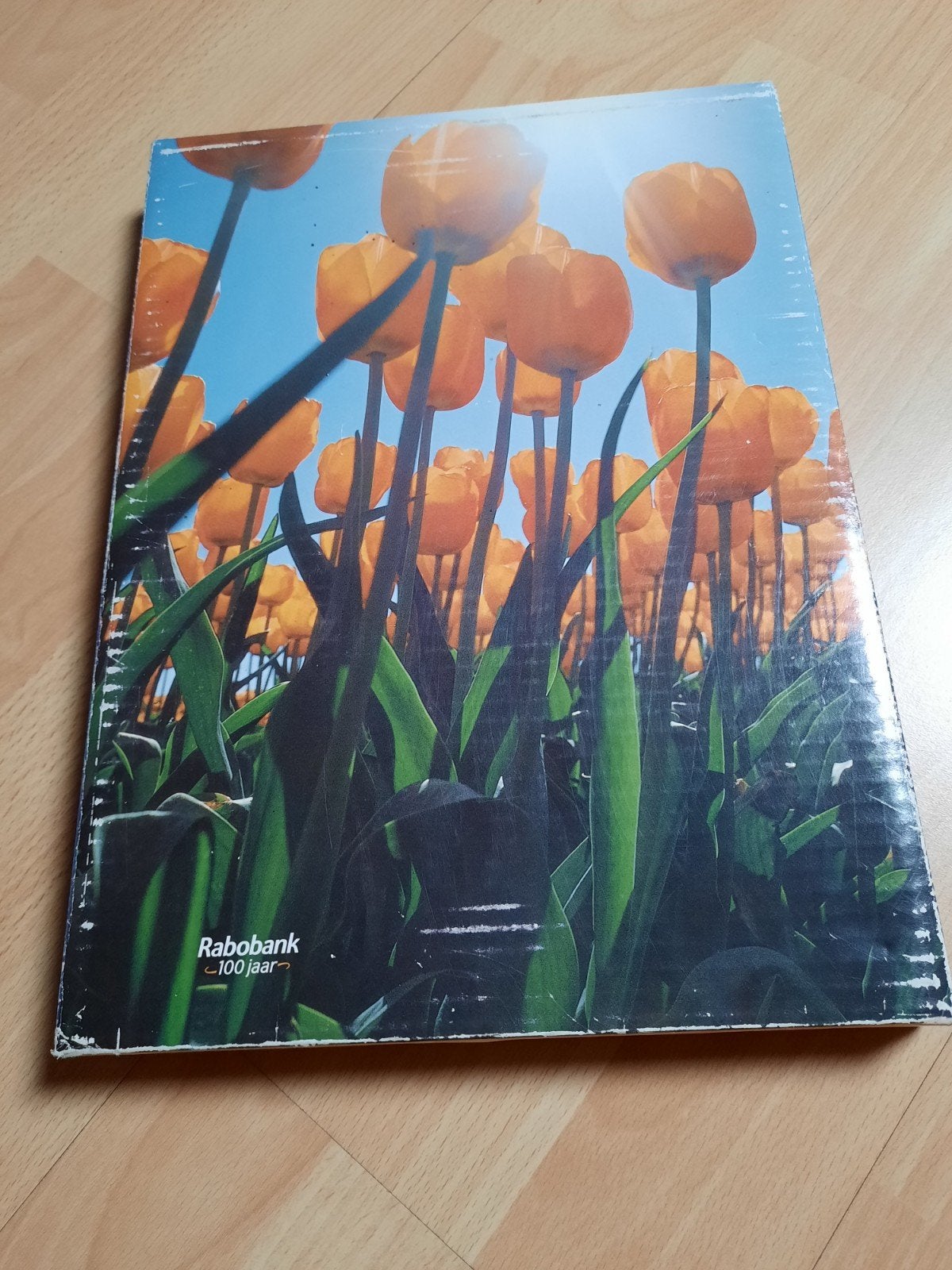 Rabobank 100 jaar - Jubileumboek, Ophalen of Verzenden, Nieuw, Overige typen