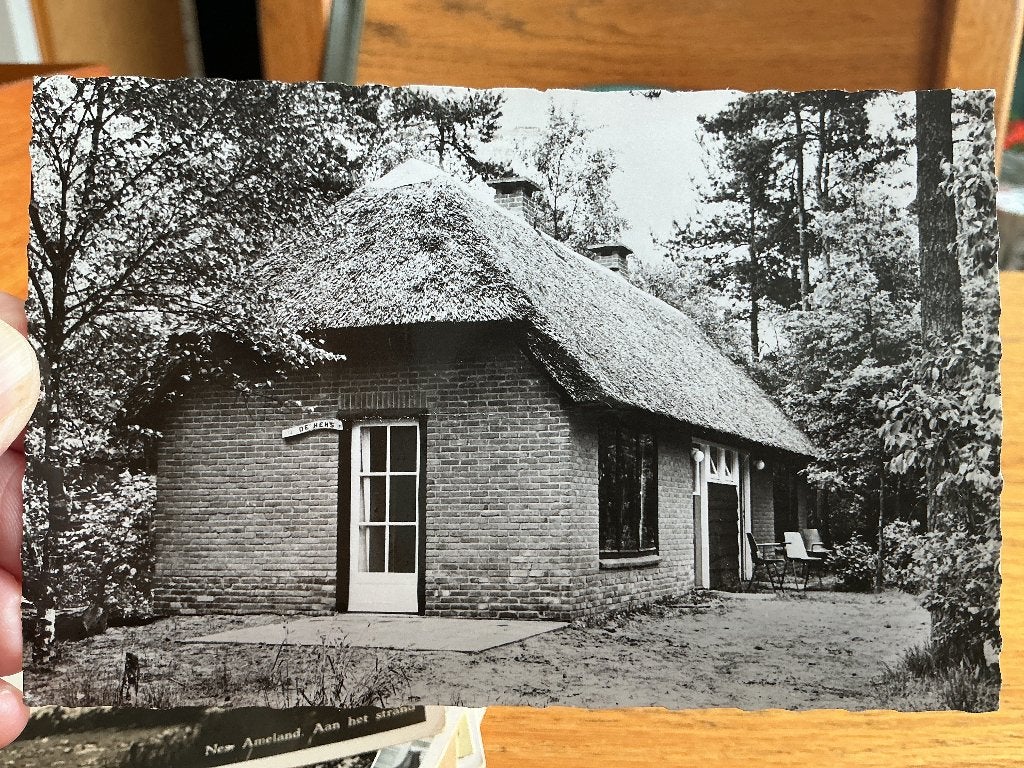 Epe vakantie vreugd, Verzenden, 1960 tot 1980, Gelopen, Gelderland