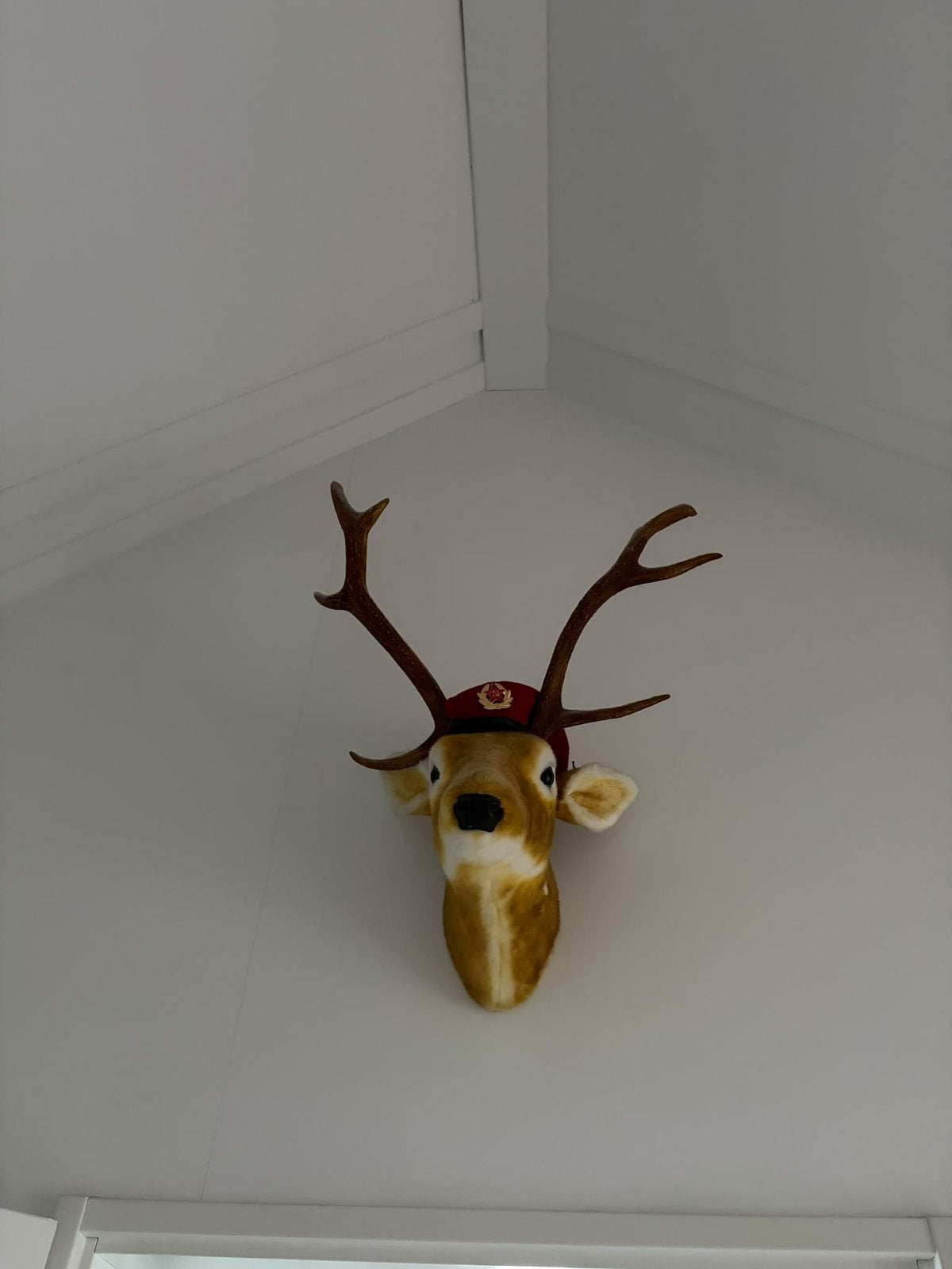 Pluche hertenkop voor aan de muur, Ophalen, Zo goed als nieuw