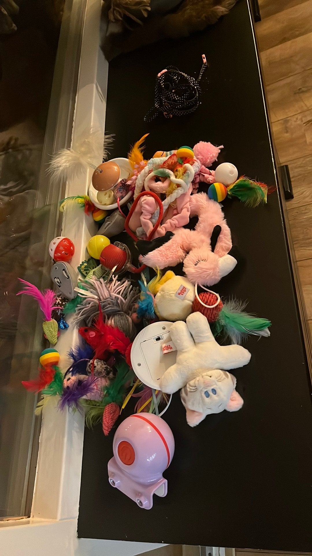 kattenspeeltjes, Dieren en Toebehoren, Ophalen, Gebruikt
