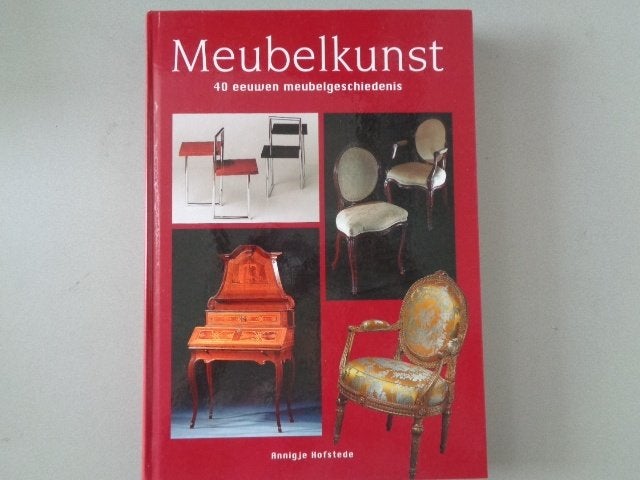 Meubelkunst - 40 eeuwen meubelgeschiedenis -Annigje Hofstede, Ophalen of Verzenden, Zo goed als nieuw, Overige onderwerpen, Annigje Hofstede