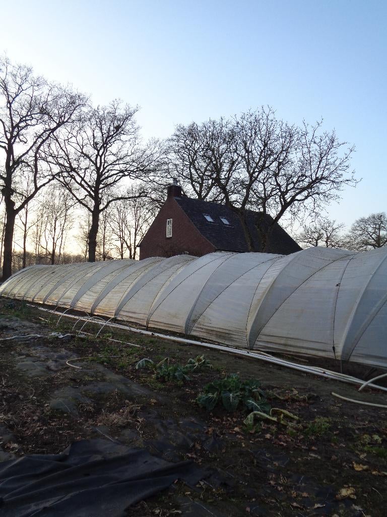 Tunnelbogen voor  kas, Tuin en Terras, Kassen, Gebruikt, Overige materialen, Kweekkas, Ophalen