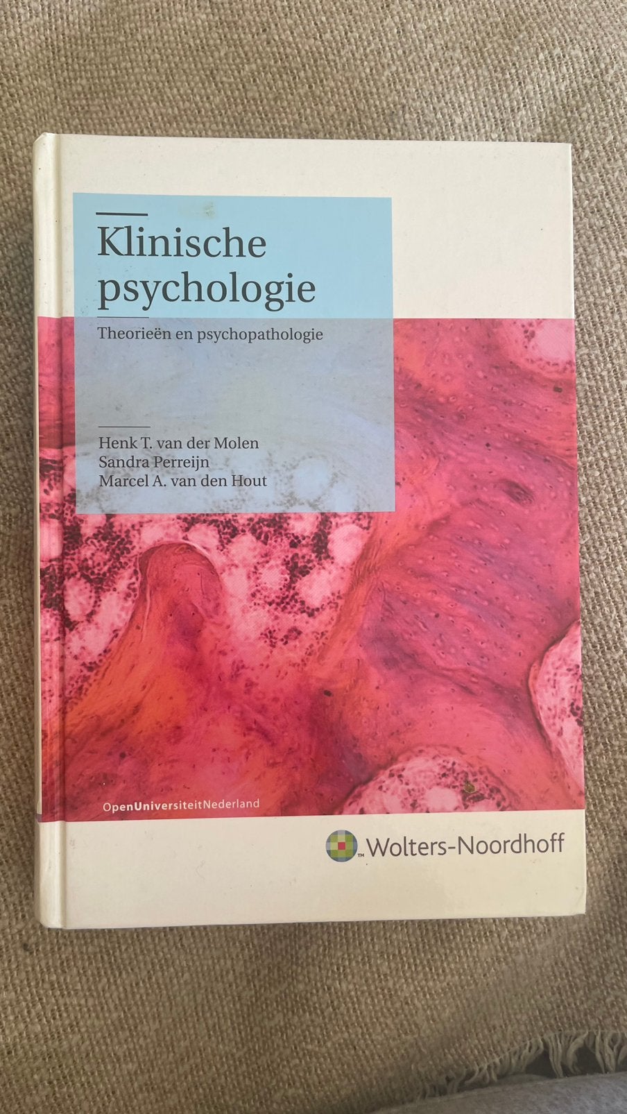 Klinische psychologie: Theorieën en psychopathologie, Boeken, Studieboeken en Cursussen, Gelezen, HBO, Gamma, Ophalen of Verzenden