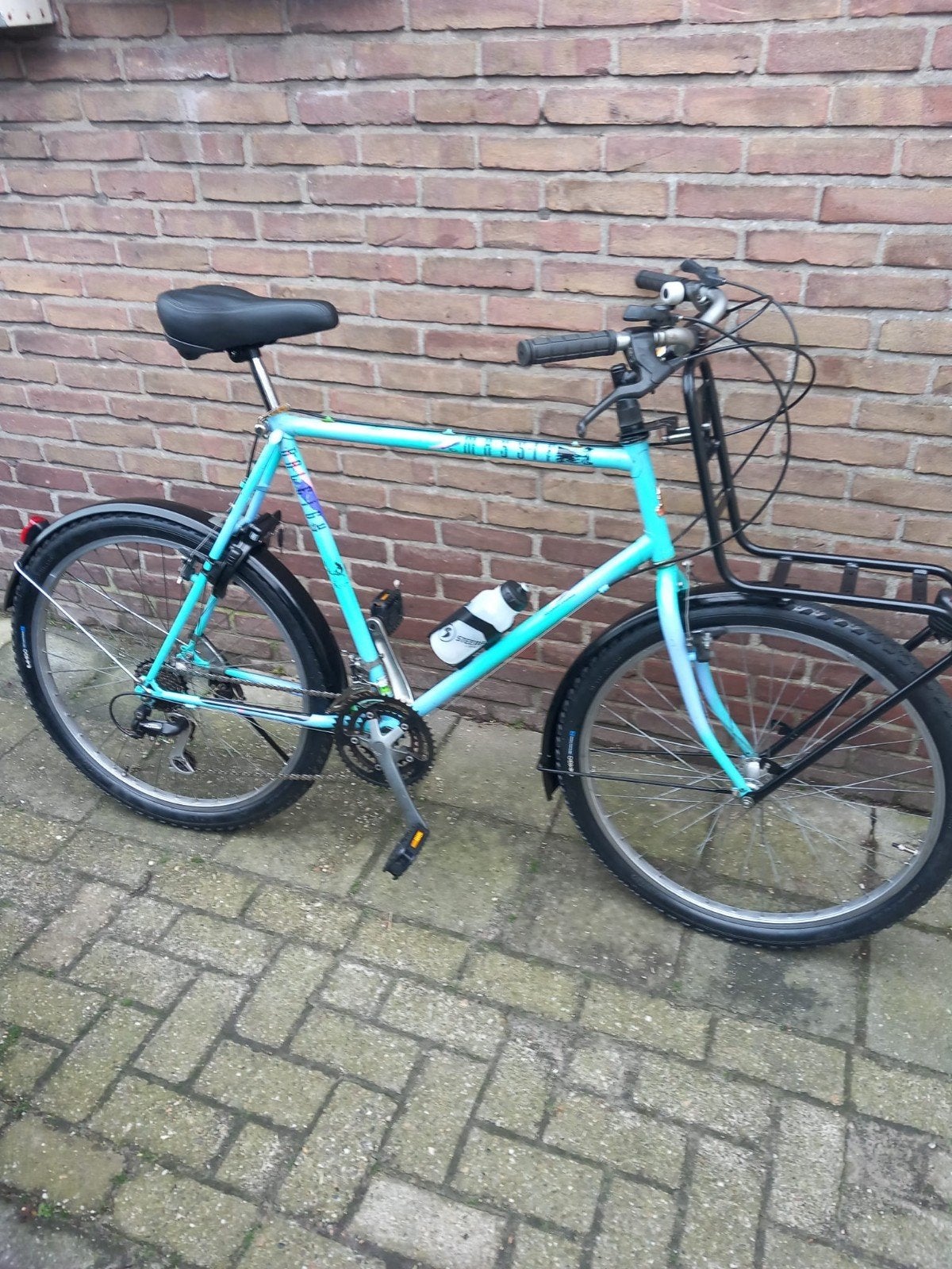 Raleigh Lizard Vintage Retro Mountainbike, Gebruikt, 57 cm of meer, Hardtail, Ophalen