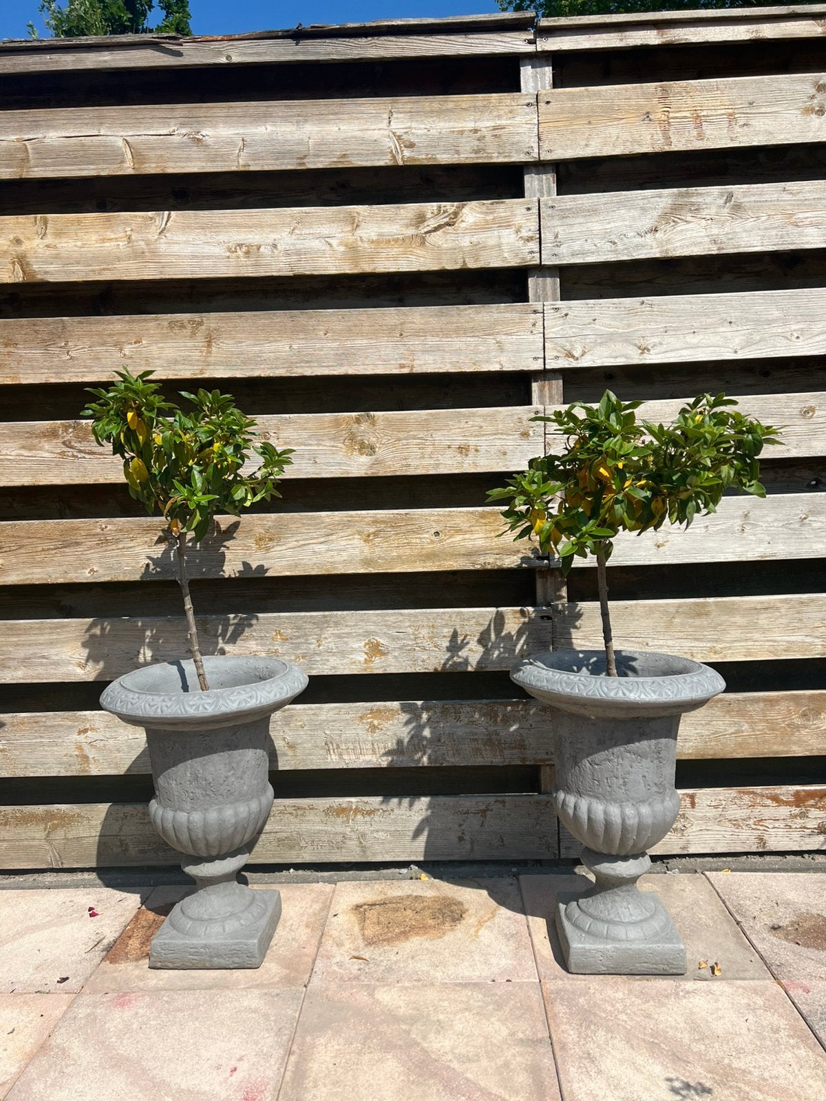 Grijze grote tuinvazen, kunstof beton-look, Tuin en Terras, Tuinvazen, Ophalen, Zo goed als nieuw