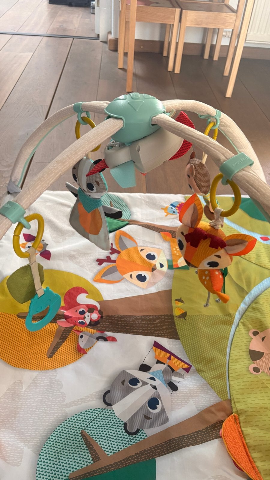 Tiny Love Speelkleed met bogen en speeltjes, Ophalen of Verzenden, Zo goed als nieuw, Speelkleed, Met geluid