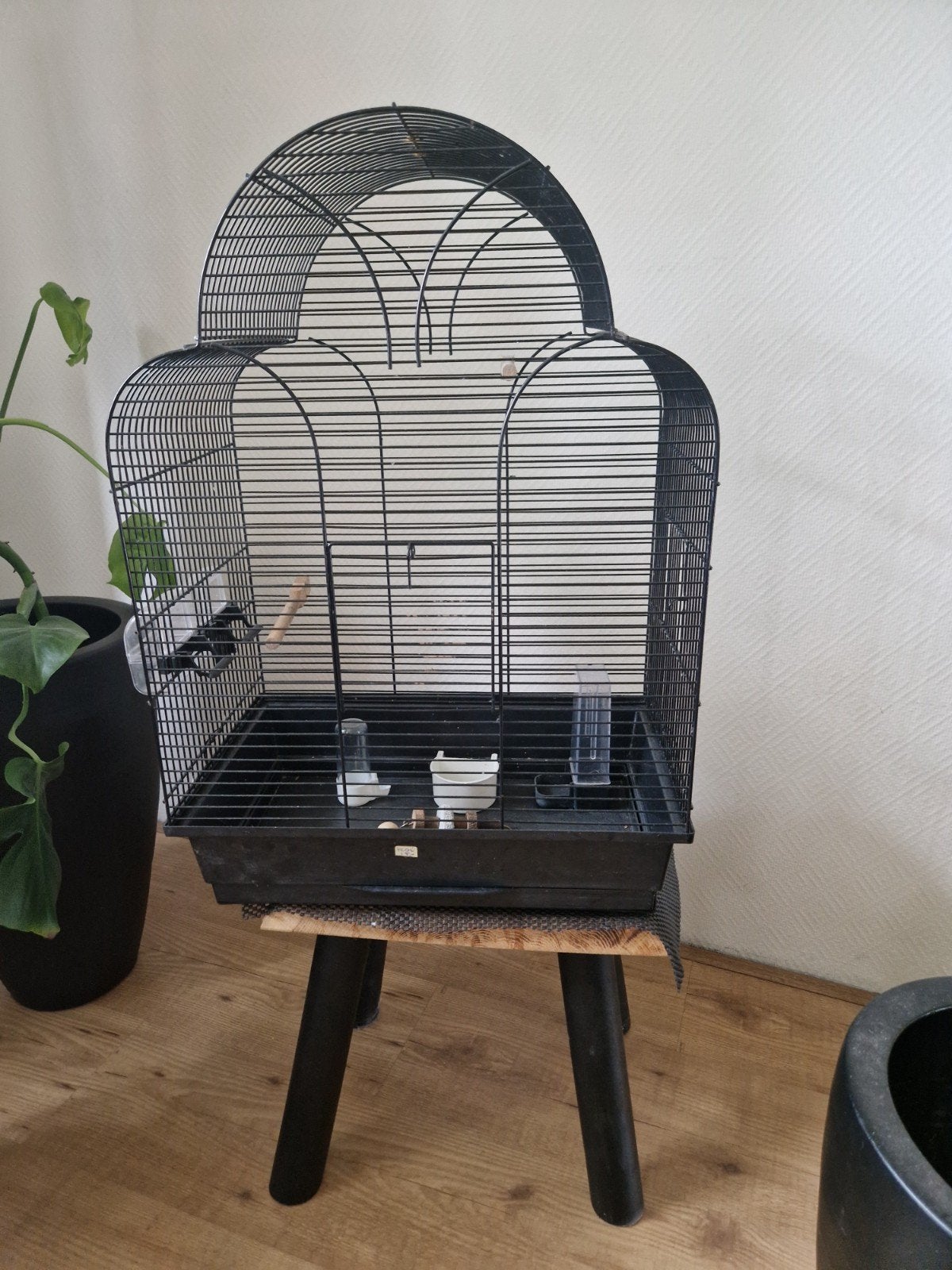 leuke  zwarte vogelkooi, Ophalen, Gebruikt, Vogelkooi