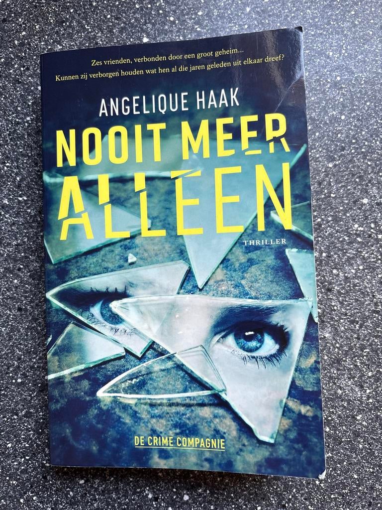 Nooit Meer Alleen - Angelique Haak (Thriller), Boeken, Ophalen of Verzenden, Gelezen, Nederland