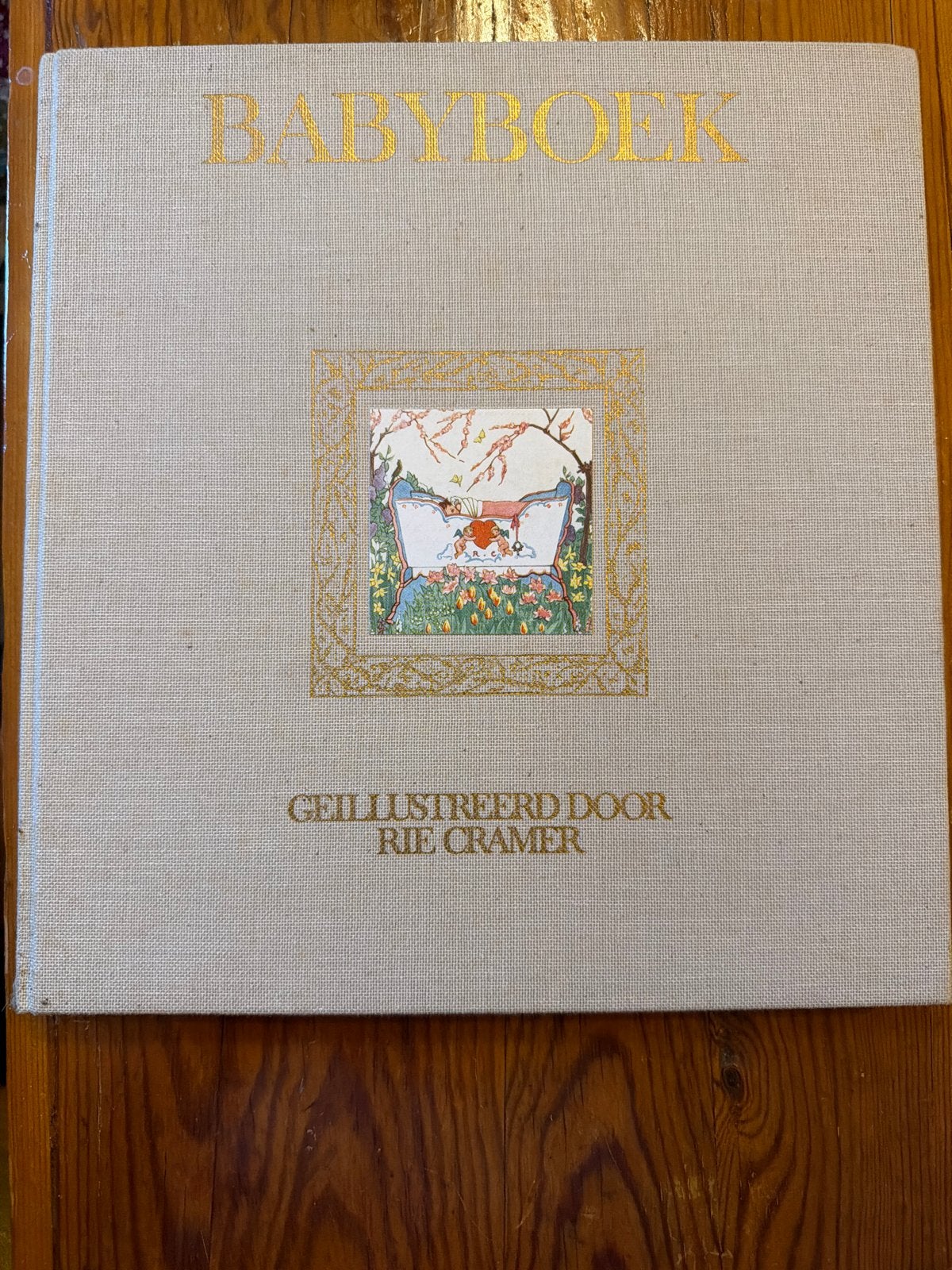 Babyboek geïllustreerd door Rie Cramer, Ophalen of Verzenden, Gelezen, 0 tot 6 maanden