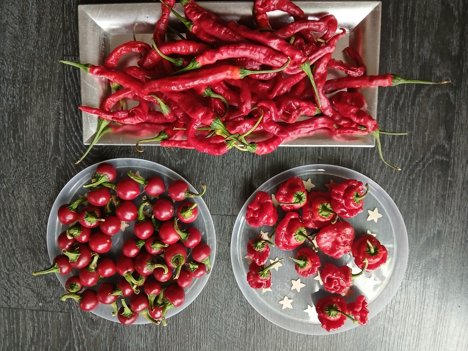 ️ VERSE PEPERS TE KOOP – RECHTSTREEKS VAN DE PLANT! ️, Ophalen of Verzenden