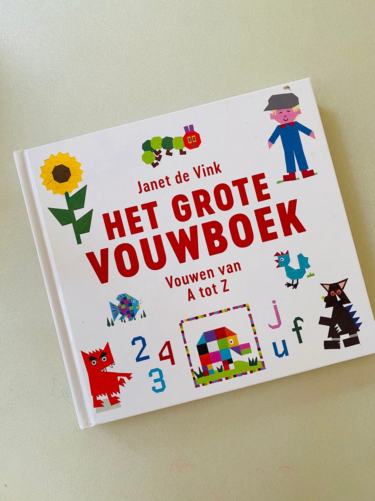 Het grote vouwboek - Janet de Vink, Ophalen, Zo goed als nieuw, Non-fictie