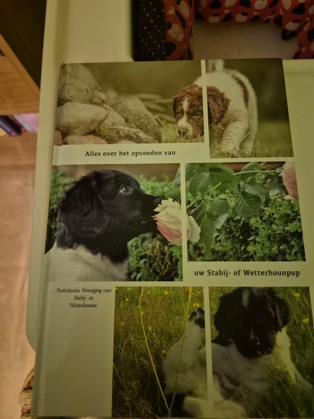 Alles over het opvoeden van uw Stabij- of Wetterhounpup, Ophalen of Verzenden, Zo goed als nieuw, Honden, Nederlandse Vereniging voor Stabij- en Wetterhounen