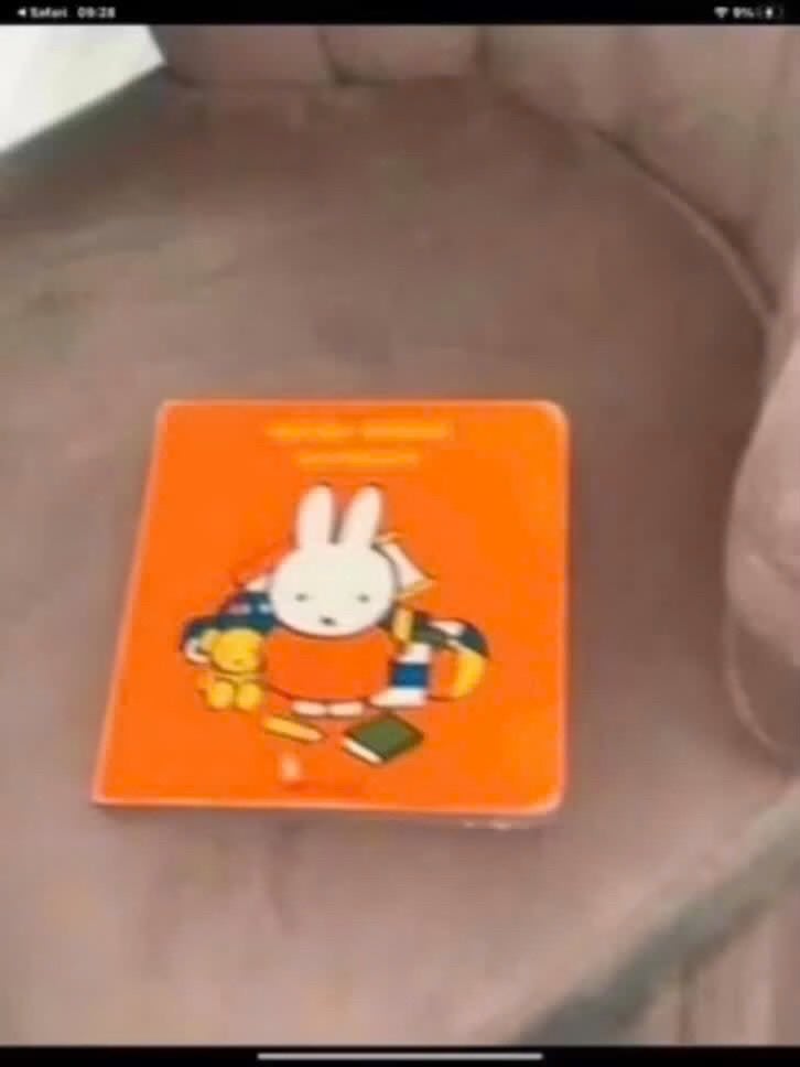 Nijntje boekje - Leuk voor de kleintjes!, Ophalen of Verzenden, Zo goed als nieuw, Dick Bruna