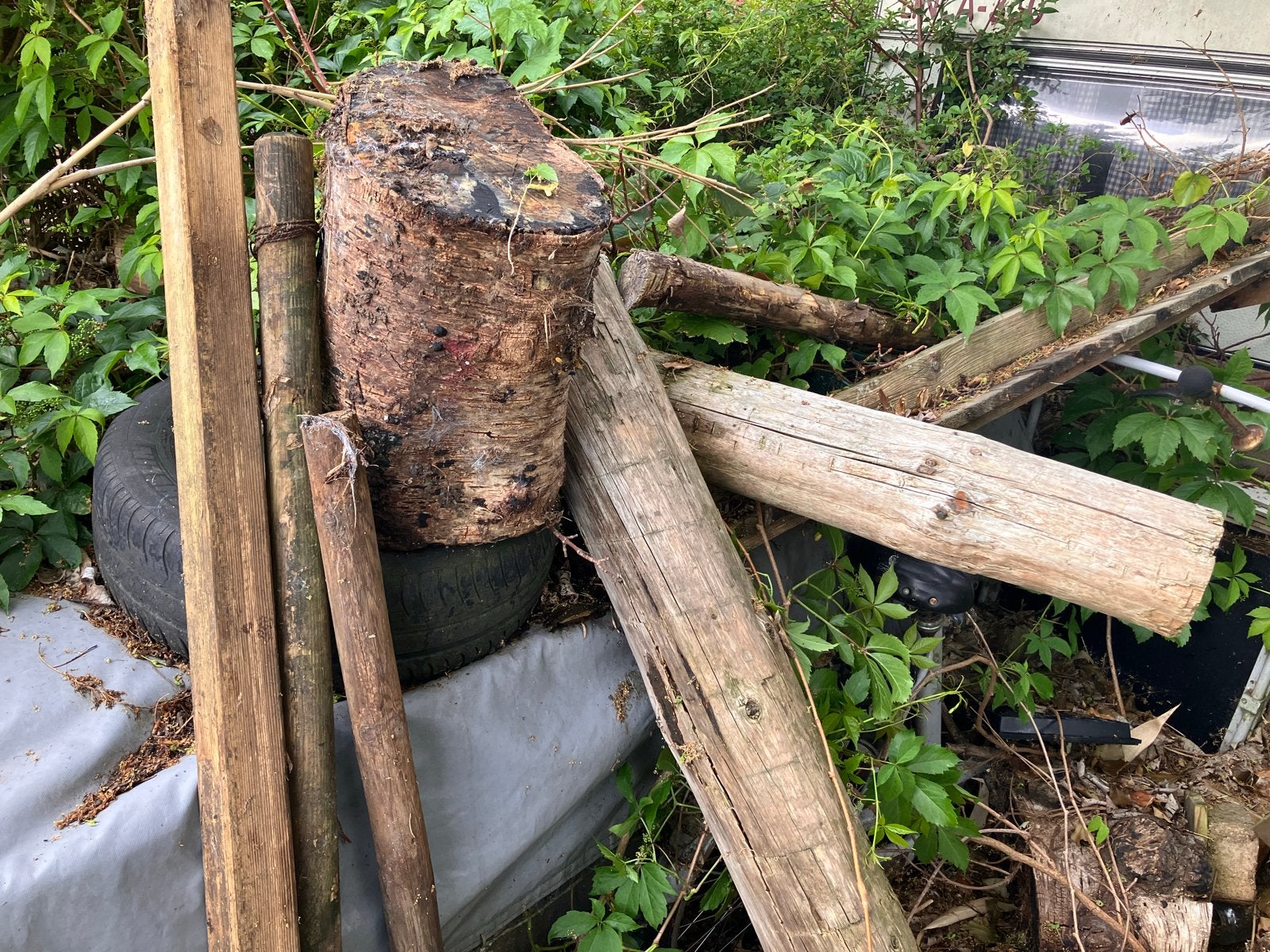Gratis af te halen: Houten palen en grote houtblokken, Ophalen, Gebruikt, Overige typen, 50 mm of meer