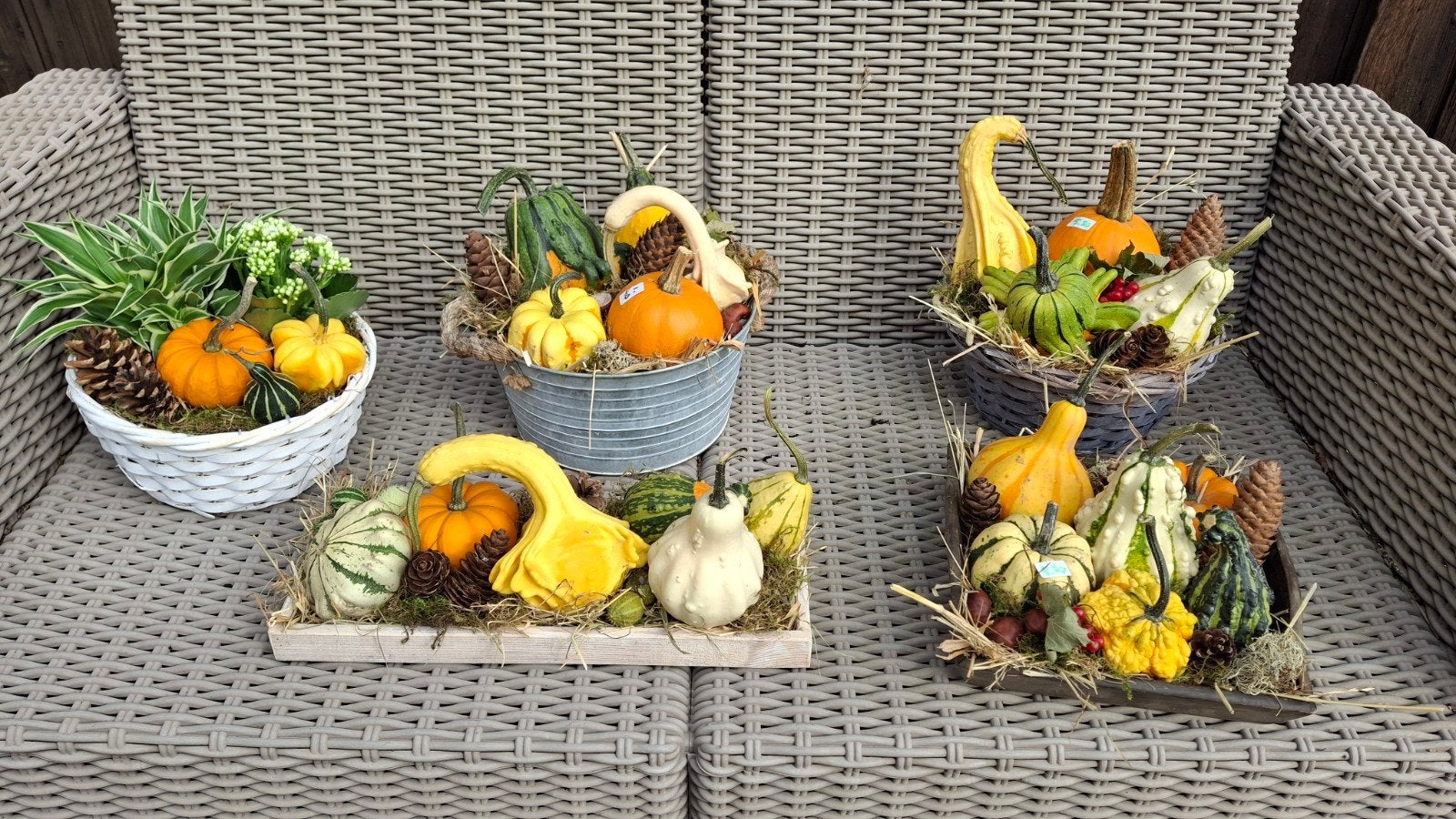 Decoratieve bakjes met kalebassen voor herfstdecoratie, Huis en Inrichting, Ophalen, Meerkleurig, Natuurlijk materiaal, Landelijk
