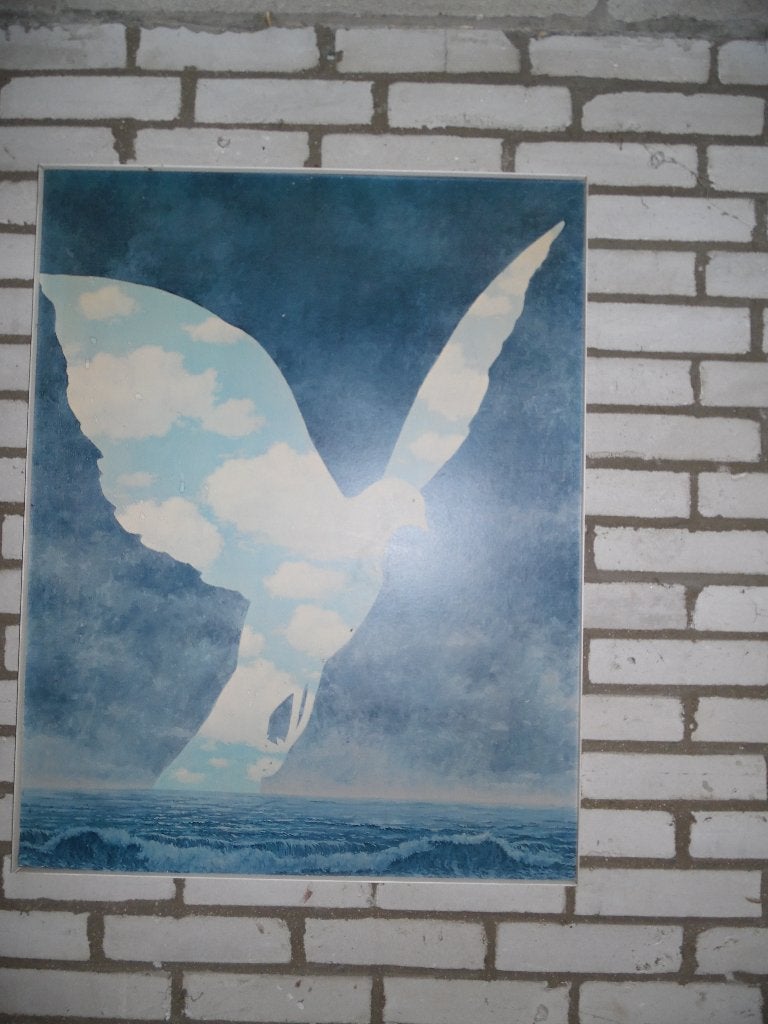 Schilderij (foto)  vogel, Ophalen