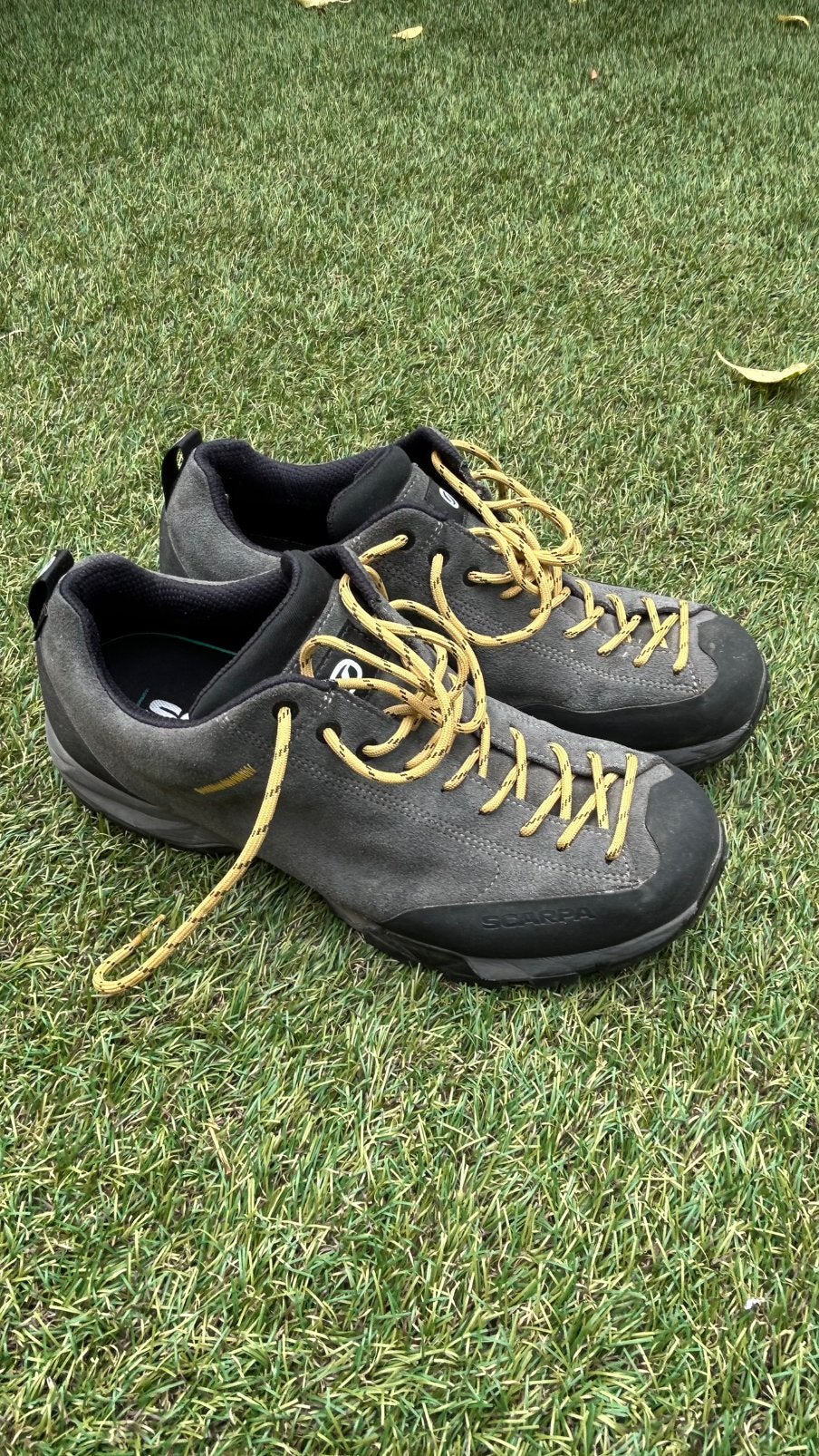 Scarpa Mojito trail GTX    Kleur: titanium/mustard, Ophalen, Zo goed als nieuw, Schoenen