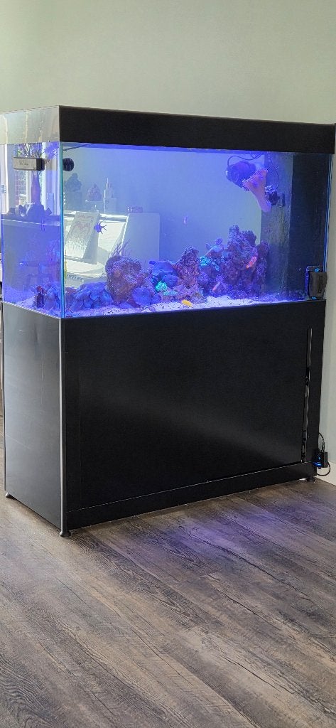Zoutwater / zeeaquarium peninsula (doorkijk) gevuld, Dieren en Toebehoren, Ophalen, Gevuld zeewateraquarium, Gebruikt, Inclusief vissen