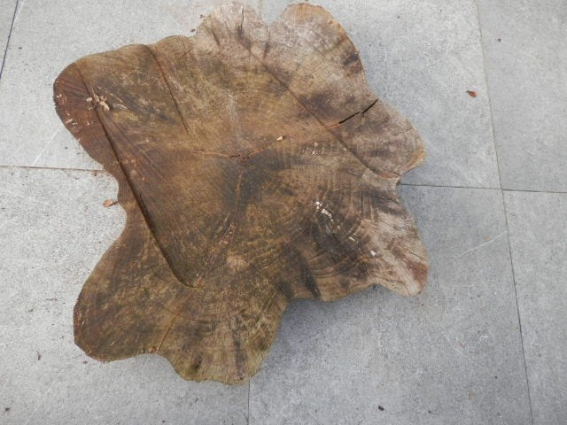Boomschijf, grote diameter, mooi voor in de tuin., Ophalen, Gebruikt