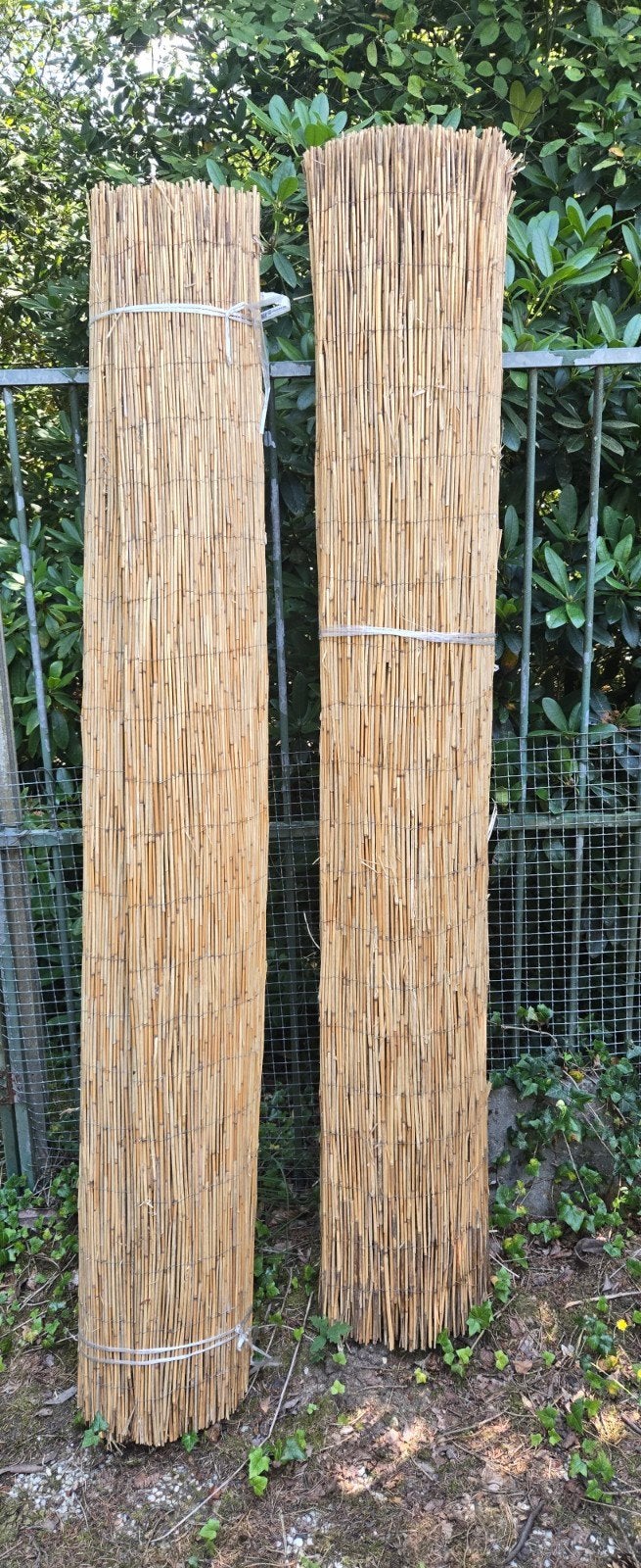 Nieuwe rietmatten voor tuinafscheiding of decoratie, Ophalen, Overige materialen, 1 tot 2 meter, Nieuw