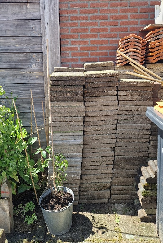 Stoeptegels 30x30, Tuin en Terras, Ophalen, Gebruikt, Beton, Terrastegels