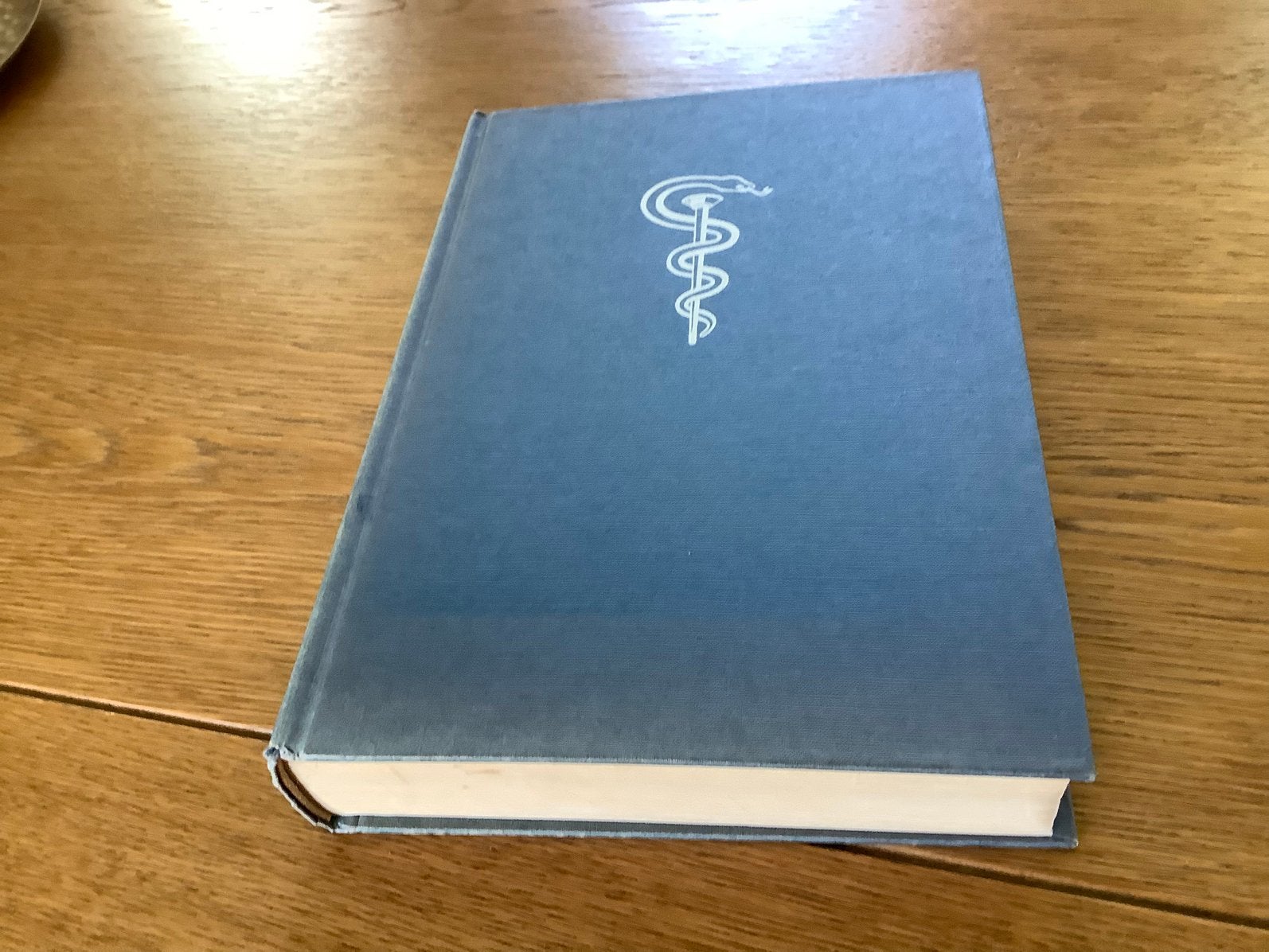 Groot Medisch Handboek, Ophalen of Verzenden, Gelezen, Overige wetenschappen