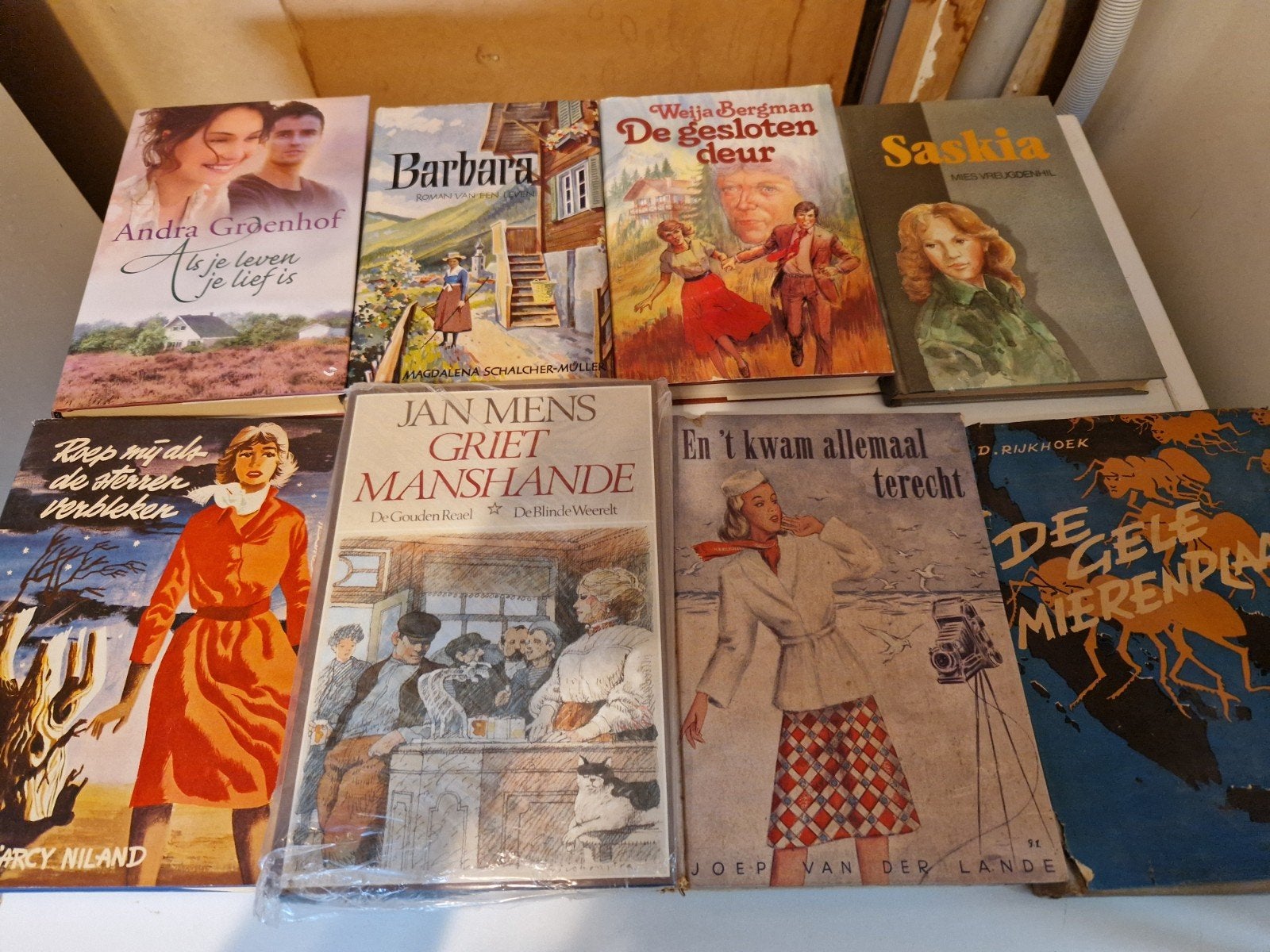 Diverse boeken: romans, jeugdboeken en meer, Ophalen of Verzenden, Gelezen, Weija Bergman, Mies Vreugdenhil, Andra Groenhof, D. Rijkhoek