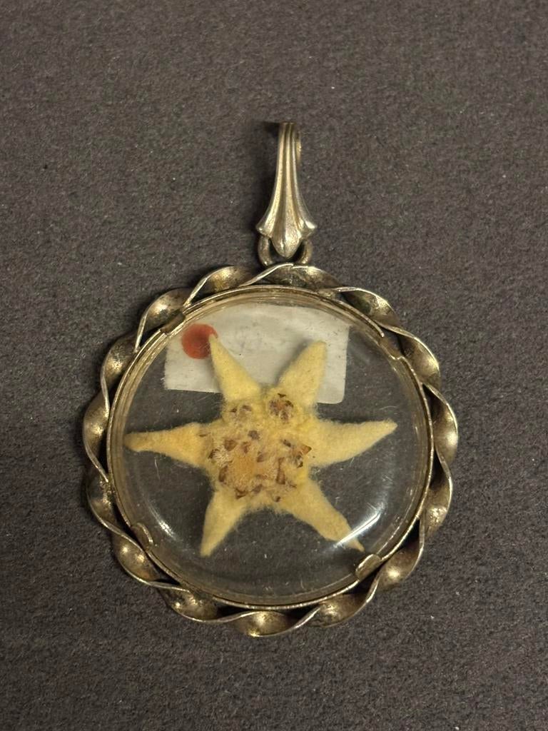 Edelweiss in zilveren hanger, Verzenden, Duitsland, Embleem of Badge
