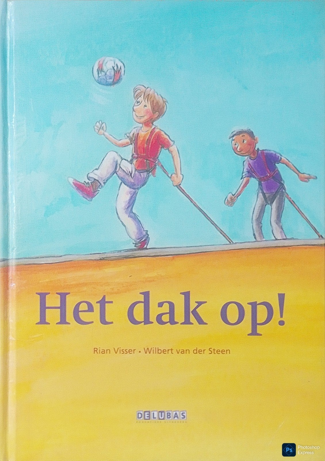 Het Dak Op!, Boeken, Gelezen, Rian Visser • Wilbert Van Der Steen., Fictie algemeen, Ophalen of Verzenden