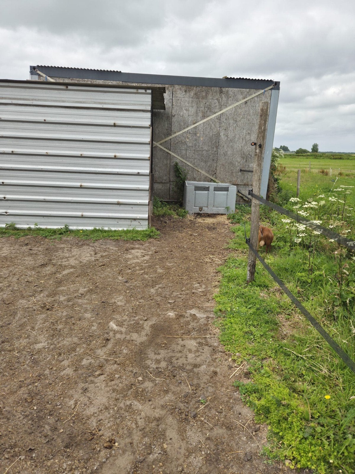 leuke paddock plaats, Dieren en Toebehoren, 1 paard of pony