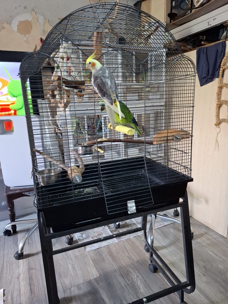 vogels kooi voor ale soort vogels, Dieren en Toebehoren, Vogels | Hokken en Kooien, Ophalen, Zo goed als nieuw, Metaal, Vogelkooi