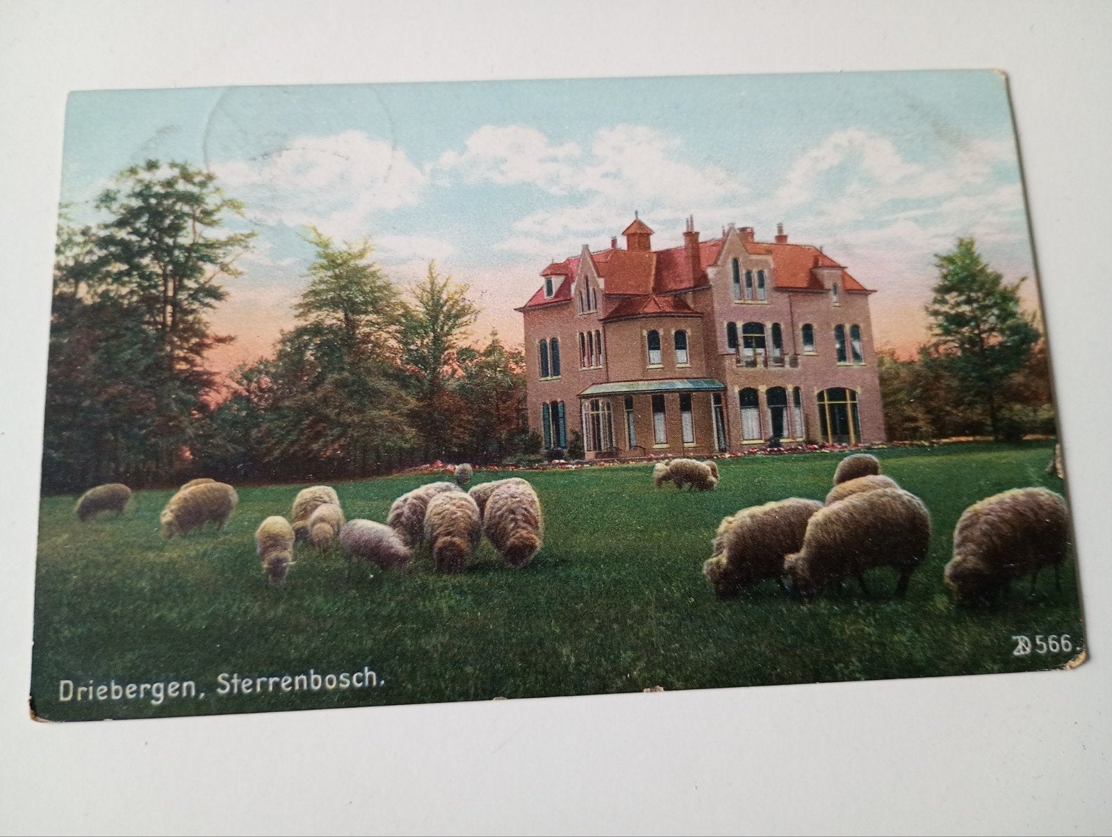 Driebergen Sterrenbosch 1911, Ophalen of Verzenden, Voor 1920, Gelopen, Utrecht