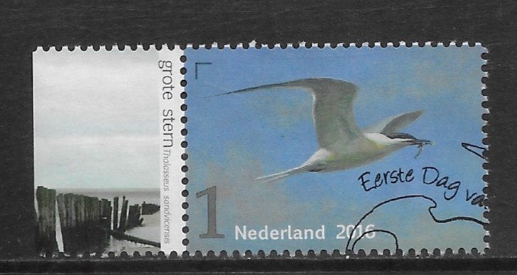 2016, Vogels van het Wad, Grote Stern [3401] (K1408), Ophalen of Verzenden