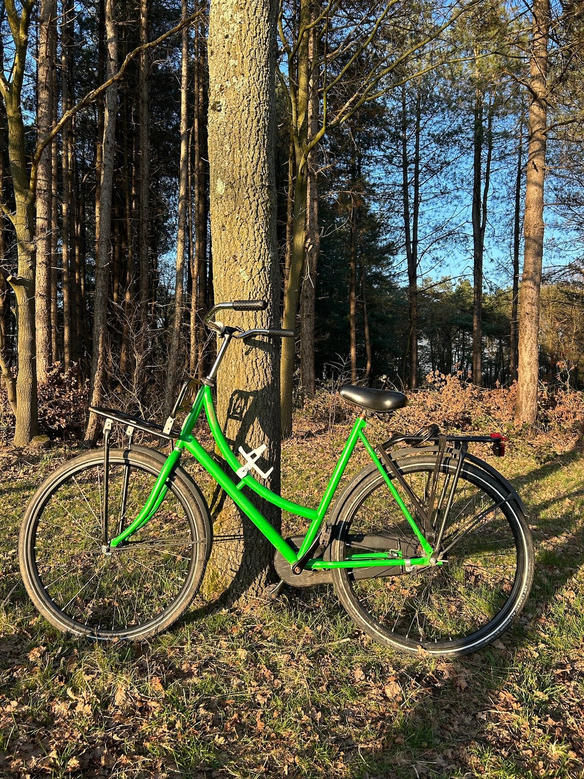 Classic Omafiets Bicycle(28 inch), Fietsen en Brommers, Fietsen | Dames | Omafietsen, Gebruikt, Ophalen