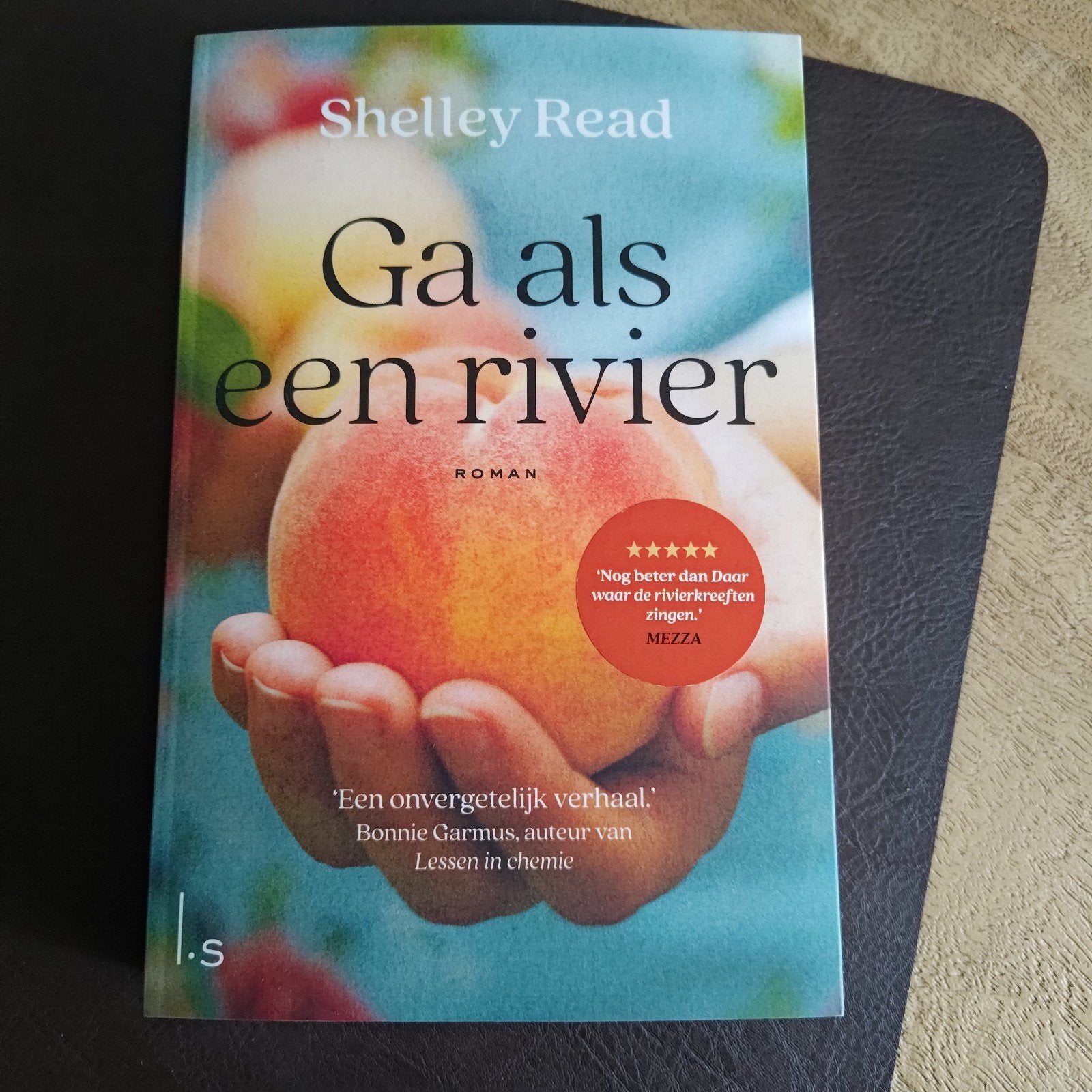 ga als een rivier, Boeken, Ophalen, Zo goed als nieuw, Shelley Read