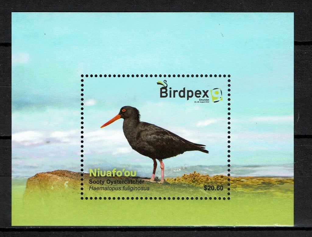 NIUAFO'OU 2022 PF BLOK SCHOLEKSTER VOGELS BIRDS, Ophalen of Verzenden, Postfris, Dier of Natuur