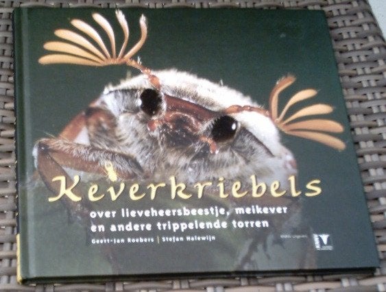 Keverkriebels over lieveheersbeestje, meikever en torren., Ophalen of Verzenden, Zo goed als nieuw