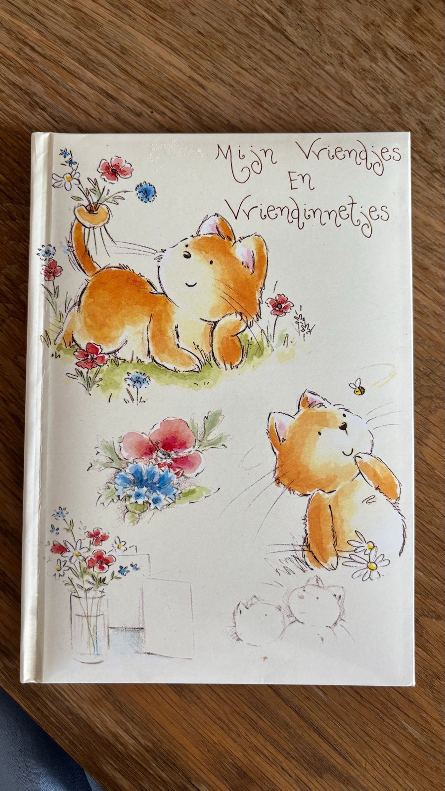 Vriendenboekje 'Mijn Vriendjes en Vriendinnetjes' met katjes, Ophalen of Verzenden, Nieuw, 3 tot 4 jaar