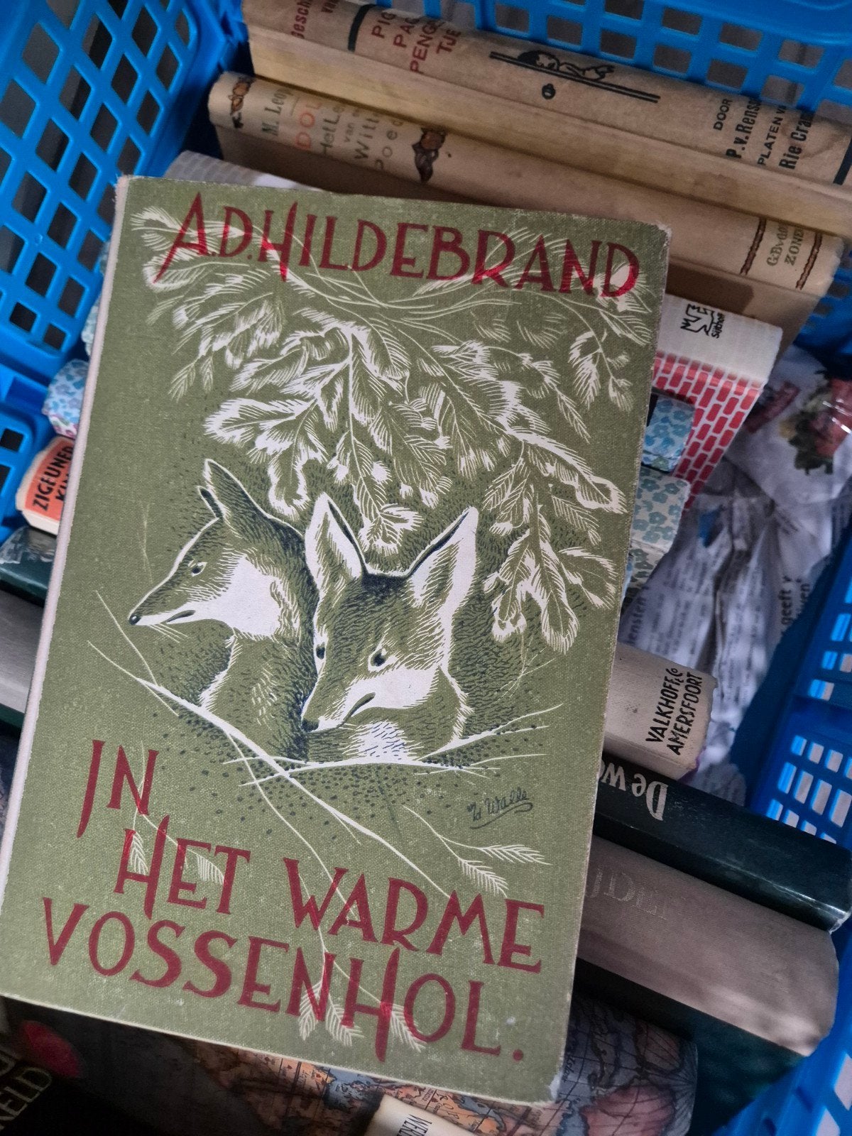 In Het Warme Vossenhol - A.D. Hildebrand, Boeken, Ophalen of Verzenden, Gelezen, A.D. Hildebrand, Fictie algemeen