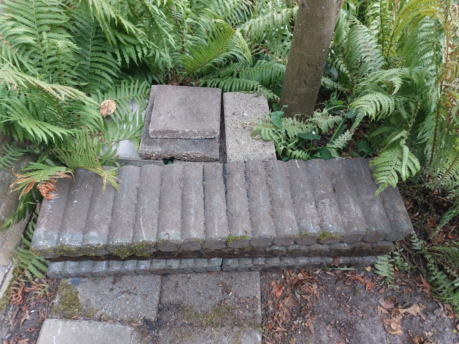 Borders gratis af te halen!, Tuin en Terras, Bielzen en Borders, Ophalen, Gebruikt, Border, Minder dan 100 cm